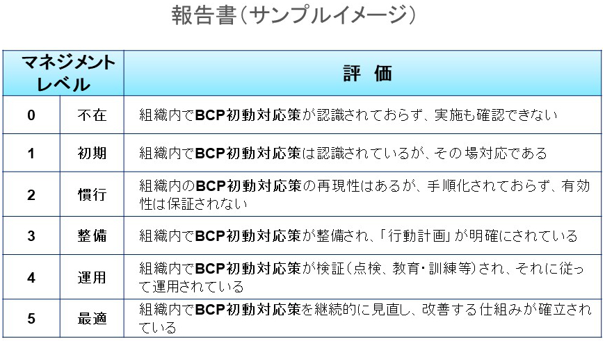 図：報告書（サンプルイメージ）