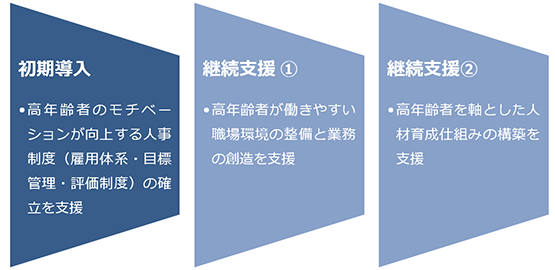 高年齢者のモチベーションが向上する人事制度（雇用体系、目標管理、評価制度）の確立を支援＜継続支援1＞高年齢者が働きやすい職場環境の整備と業務の創造を支援＜継続支援２＞高年齢者を軸とした人材育成の仕組みの構築を支援