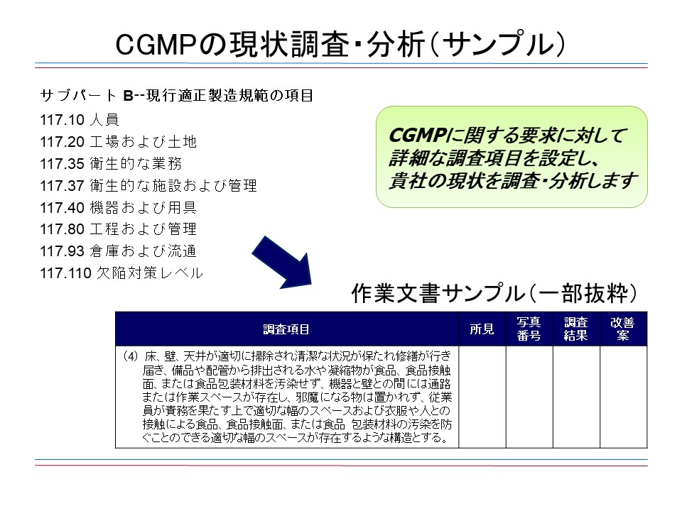 CGMPの現状調査・分析（サンプル）