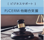 ビジネスサポート PJCERM他 総合支援